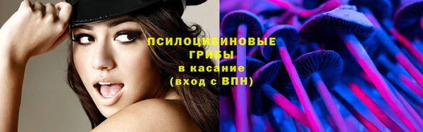 а пвп мука Карпинск